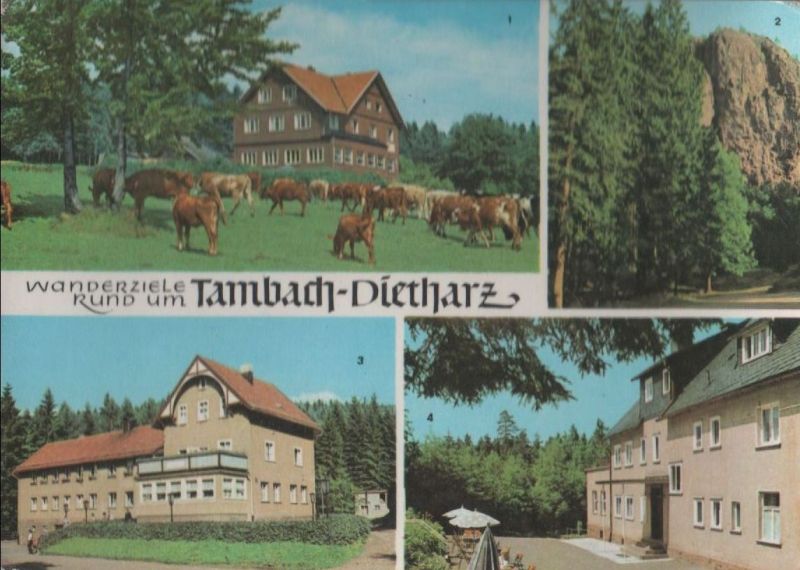 Ansichtskarte Tambach-Dietharz - u.a. Berghotel Ebertswiese - ca. 1975 aus der Kategorie Tambach-Dietharz