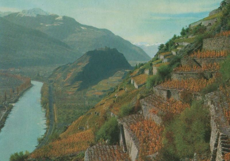 Ansichtskarte Schweiz - SionChateau et vignobles - ca. 1980 aus der Kategorie Sitten - Sion