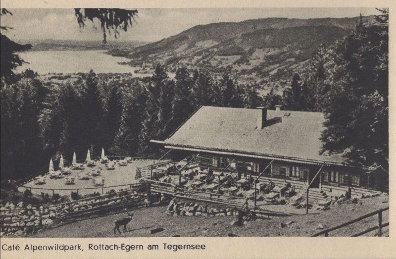 Ansichtskarte Rottach - Café Alpenwildpark aus der Kategorie Rottach-Egern