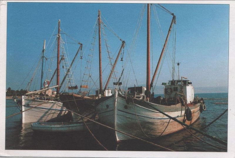 Ansichtskarte Boote im Hafen aus der Kategorie Schiffe